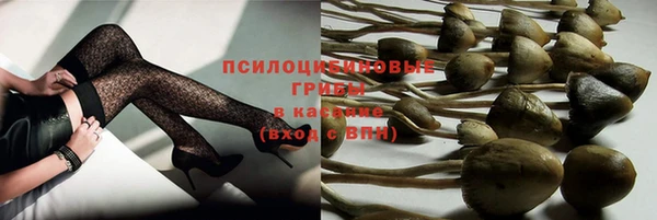 наркотики Медвежьегорск