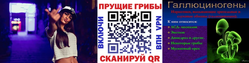 Купить где  Медвежьегорск  Псилоцибиновые грибы Psilocybe 